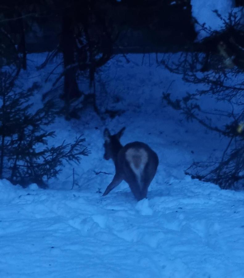 Alloggi Buon Riposo Tarvisio Bagian luar foto