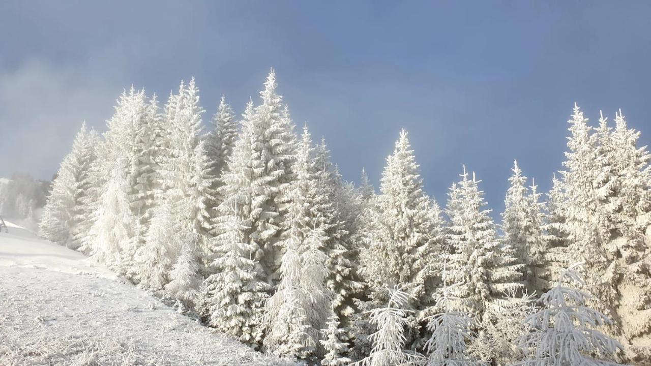 Alloggi Buon Riposo Tarvisio Bagian luar foto