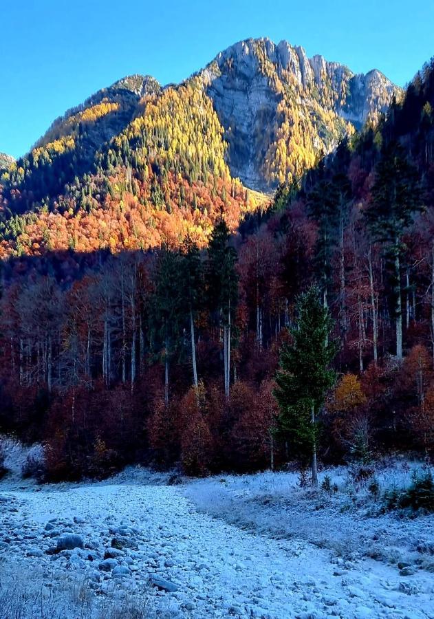 Alloggi Buon Riposo Tarvisio Bagian luar foto